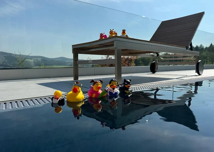 Appartement Haus Vogl - Mit Priv. Sauna Und Traumhaften Salzwasser-pool Anger