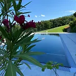 Haus Vogl - Mit Priv. Sauna Und Traumhaften Salzwasser-pool Apartament Anger