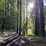 Apartament Haus Vogl - Mit Priv. Sauna Und Traumhaften Salzwasser-pool *