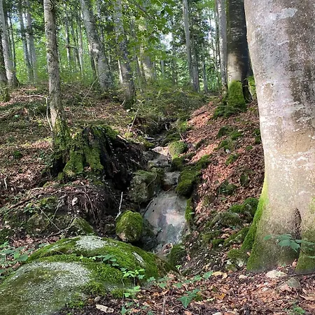 Haus Vogl - Mit Priv. Sauna Und Traumhaften Salzwasser-pool