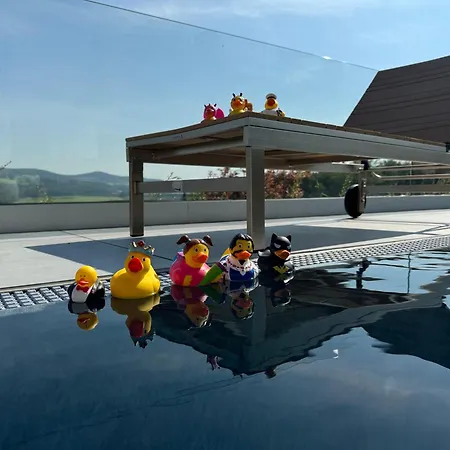 Appartement Haus Vogl - Mit Privater Sauna Und Beheizten Salzwasser Pool In Panoramalage Und Naehe Zu Salzburg Und Berchtesgaden Anger