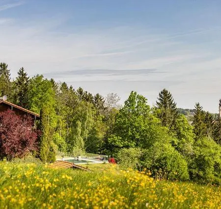 Haus Vogl - Mit Privater Sauna Und Beheizten Salzwasser Pool In Panoramalage Apartamento *