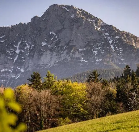 Haus Vogl - Mit Privater Sauna Und Beheizten Salzwasser Pool In Panoramalage