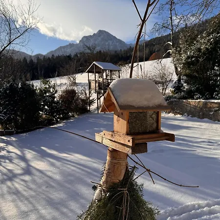 Appartement Haus Vogl - Mit Privater Sauna Und Beheizten Salzwasser Pool In Panoramalage Und Naehe Zu Salzburg Und Berchtesgaden *
