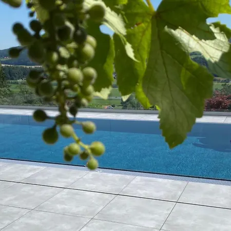 Haus Vogl - Mit Privater Sauna Und Beheizten Salzwasser Pool In Panoramalage Und Naehe Zu Salzburg Und Berchtesgaden Appartement *