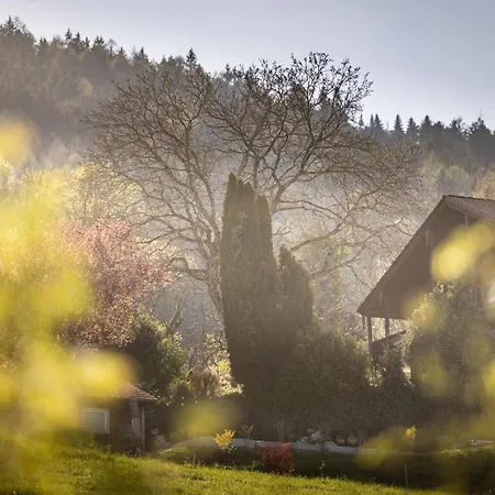 Haus Vogl - Mit Privater Sauna Und Beheizten Salzwasser Pool In Panoramalage *