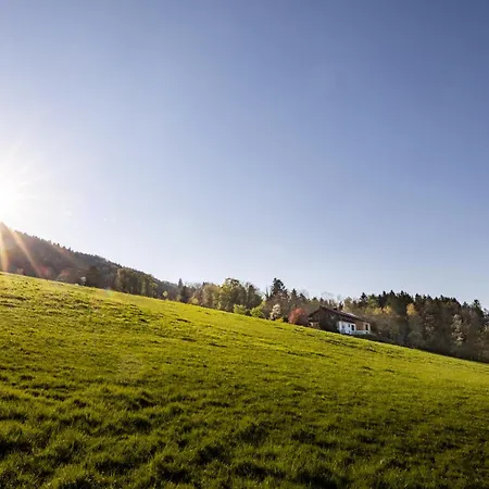 アパート Haus Vogl - Mit Privater Sauna Und Beheizten Salzwasser Pool In Panoramalage Und Naehe Zu Salzburg Und Berchtesgaden *