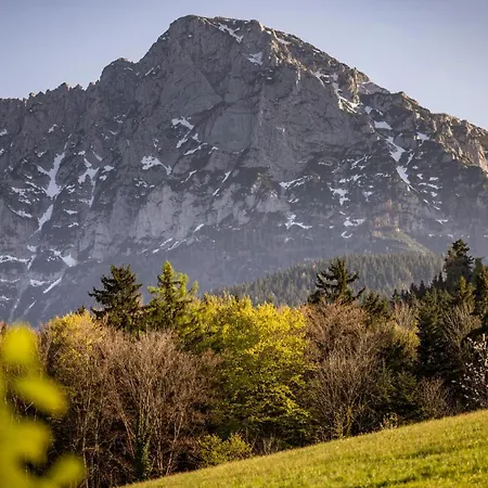 Haus Vogl - Mit Privater Sauna Und Beheizten Salzwasser Pool In Panoramalage Und Naehe Zu Salzburg Und Berchtesgaden Appartement Anger