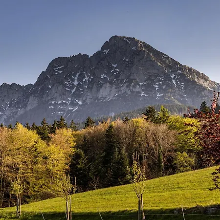 Appartement Haus Vogl - Mit Privater Sauna Und Beheizten Salzwasser Pool In Panoramalage Und Naehe Zu Salzburg Und Berchtesgaden Anger