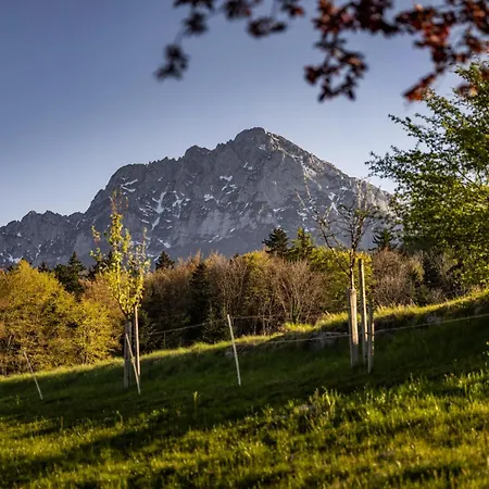 Haus Vogl - Mit Privater Sauna Und Beheizten Salzwasser Pool In Panoramalage Und Naehe Zu Salzburg Und Berchtesgaden Anger