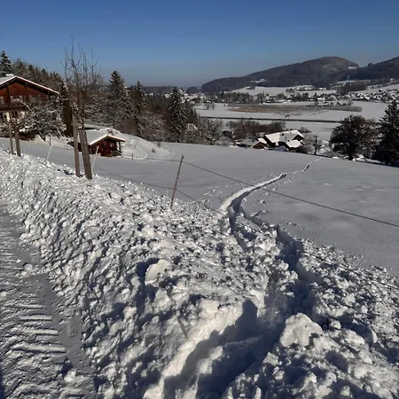 Haus Vogl - Mit Privater Sauna Und Beheizten Salzwasser Pool In Panoramalage Und Naehe Zu Salzburg Und Berchtesgaden Appartement *